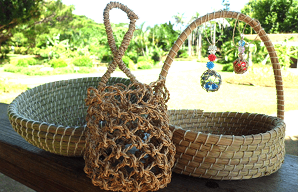 107 旅人の木 10房 逸品 今季物 宮古島産 宮古島市体験工芸村（つむかぎ村） - 宮古島観光協会公式情報サイト